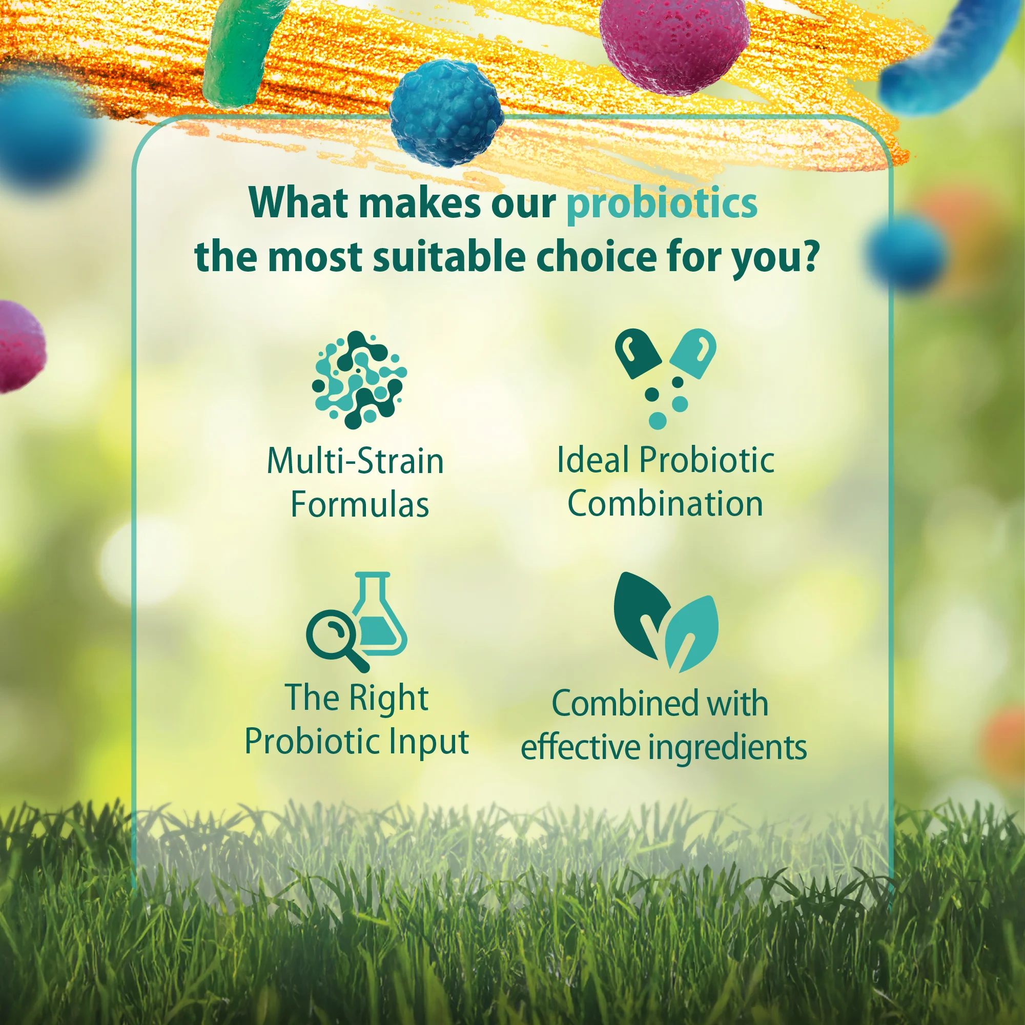 Caruso's Indigestion EZE® Probiotic - Image 4
