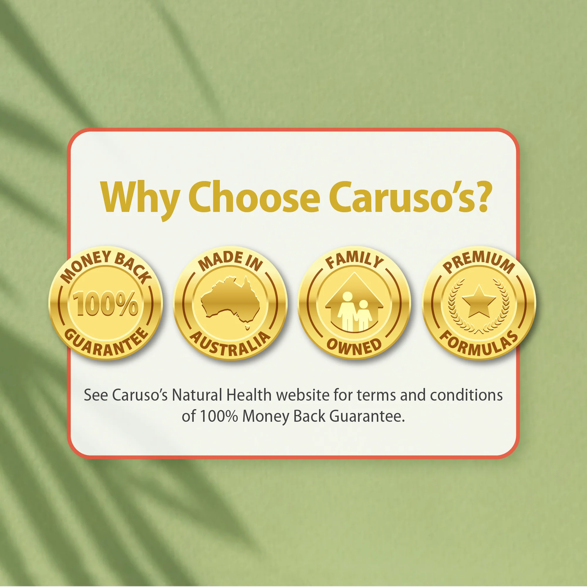 Caruso's Prostate Eze® Max - Image 8